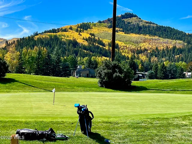 a view of a field with a tree