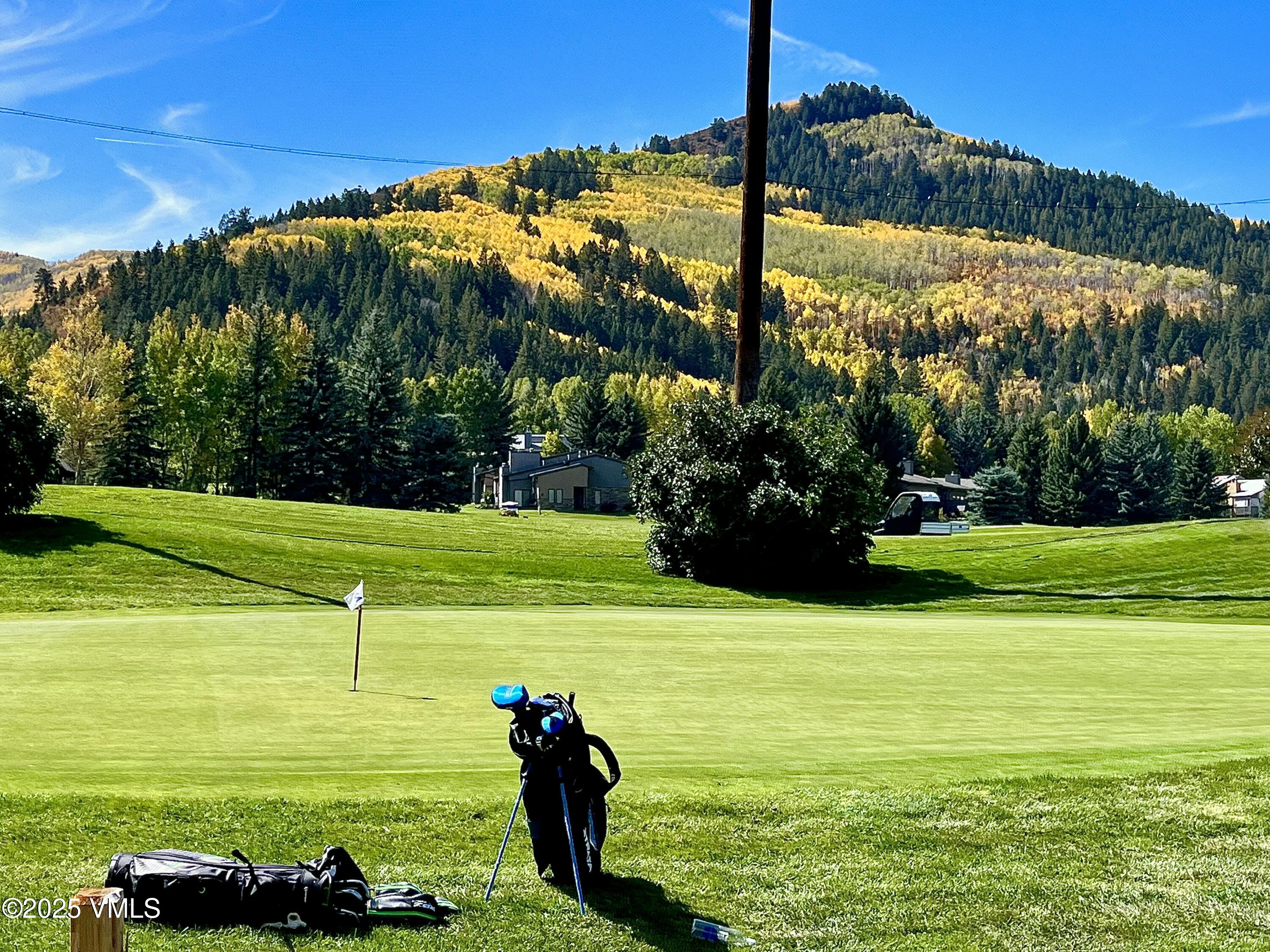 596 Daisy Lane, Unit 10 Avon, CO 81620 - Photo 29 of 34 a view of a field with a tree