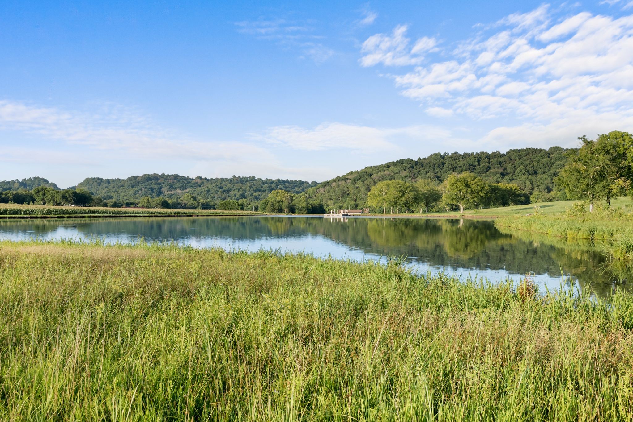 2942 Newman Road Ardmore, TN 38449 - Photo 39 of 63 Gallery Image 39
