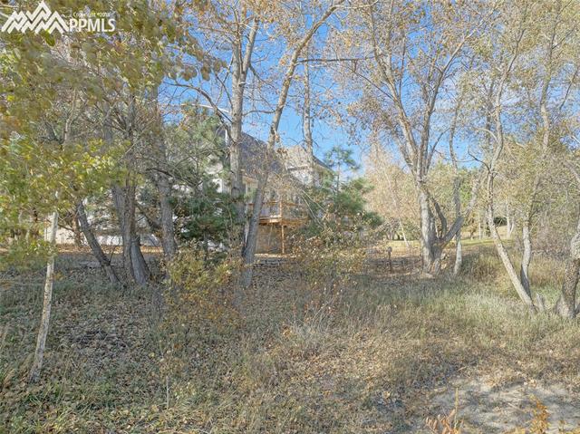18620 Lower Lake Road Monument, CO 80132 - Photo 5 of 6 Huge lot! Over 15,000 sq. feet nestled in the trees for privacy.