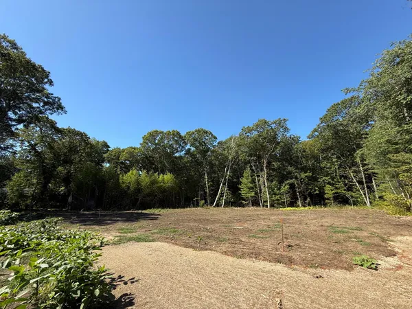 a view of backyard space with trees