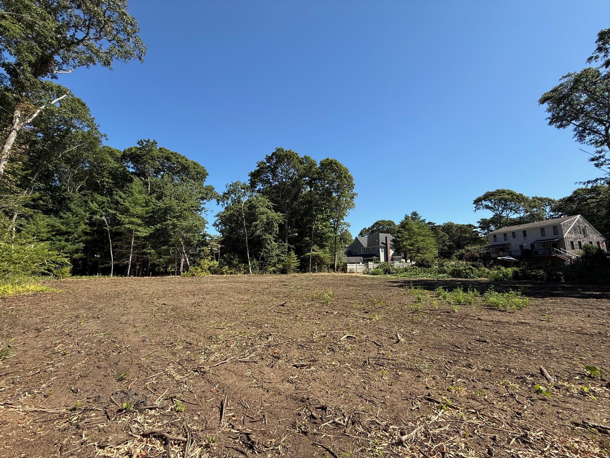 0 Quaker Road North Falmouth, MA 02556 - Photo 6 of 14 a big yard with lots of green space