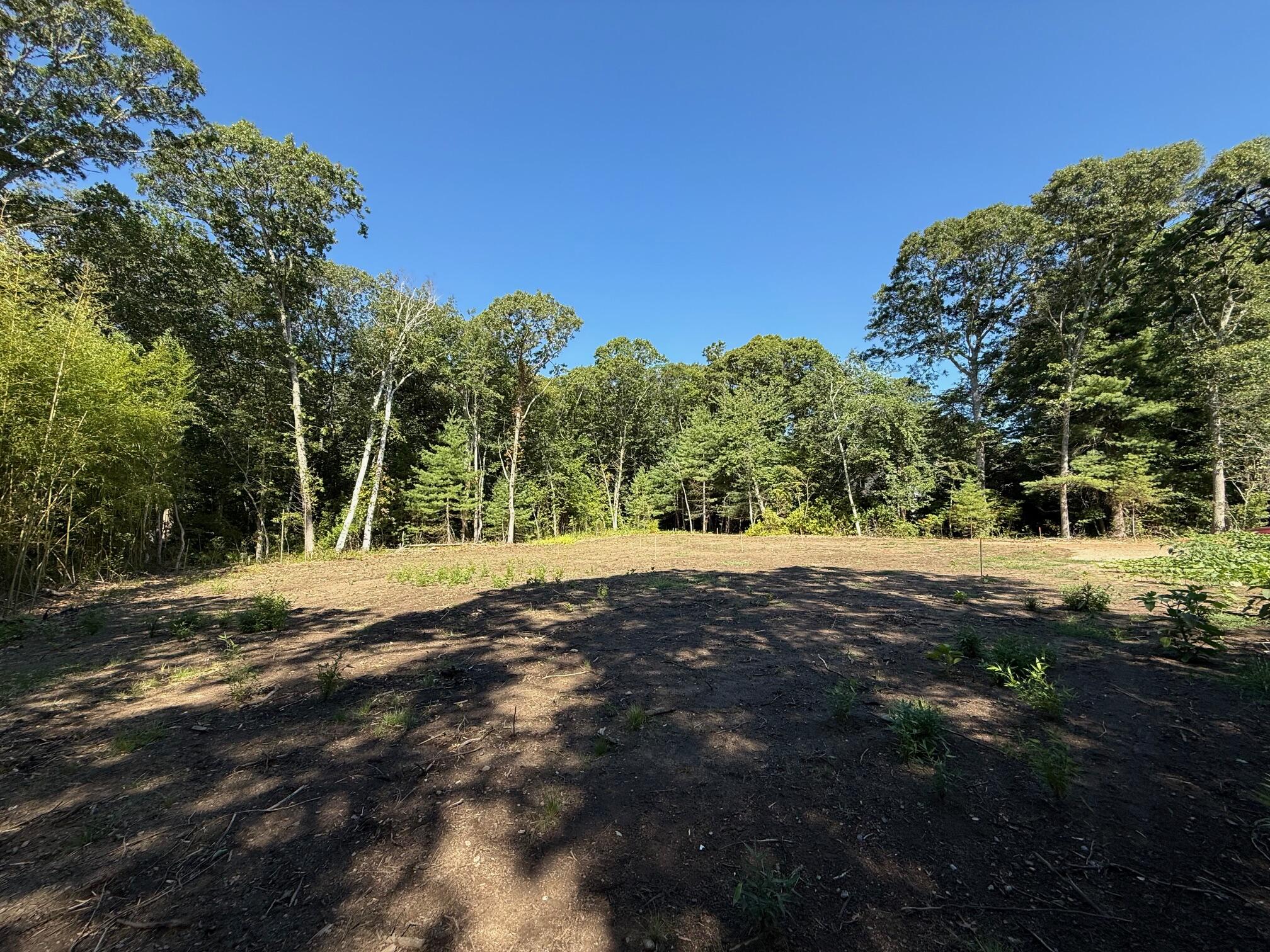 0 Quaker Road North Falmouth, MA 02556 - Photo 8 of 14 a view of dirt yard