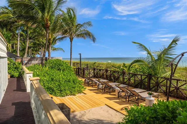 a view of a yard with plants