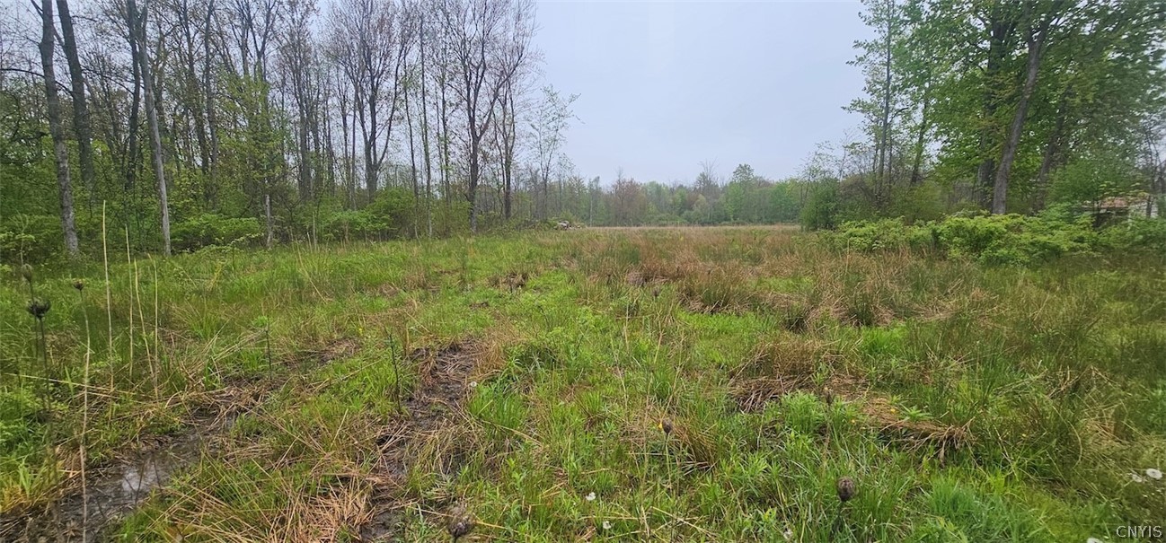 Rotterdam Road Sodus, NY 14551 - Photo 23 of 25