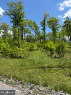 North Camp Road McHenry, MD 21541 - Photo 6 of 16