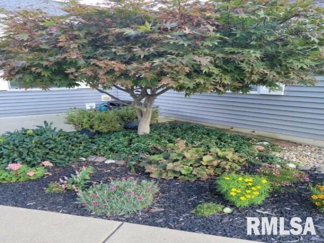 2800 Vía Rosso, Unit 76 Springfield, IL 62703 - Photo 39 of 39 Gallery Image 39