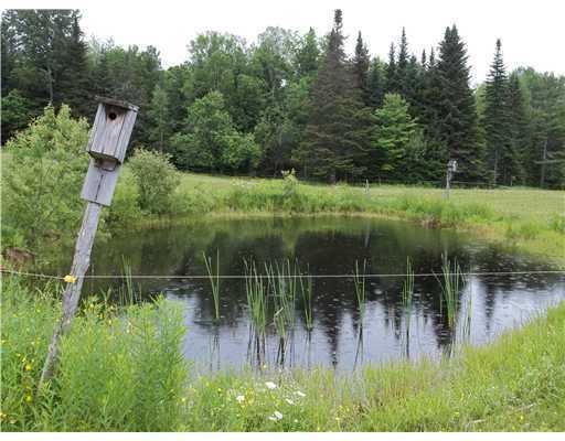 21 Harmony Road Wellington, ME 04942 - Photo 49 of 63 Farm Pond