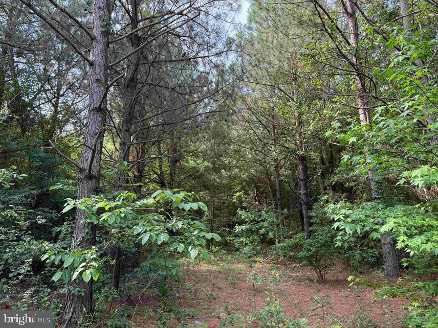Sarecta Road Kenansville, NC 28349 - Photo 15 of 28