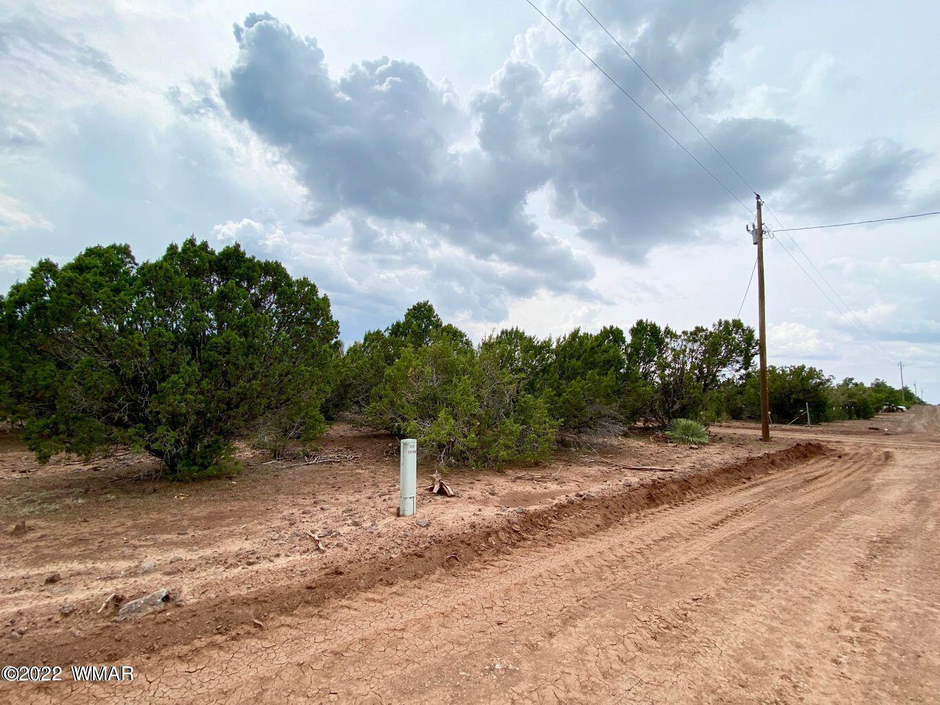 41 Co Road Vernon, AZ 85940 - Photo 11 of 11