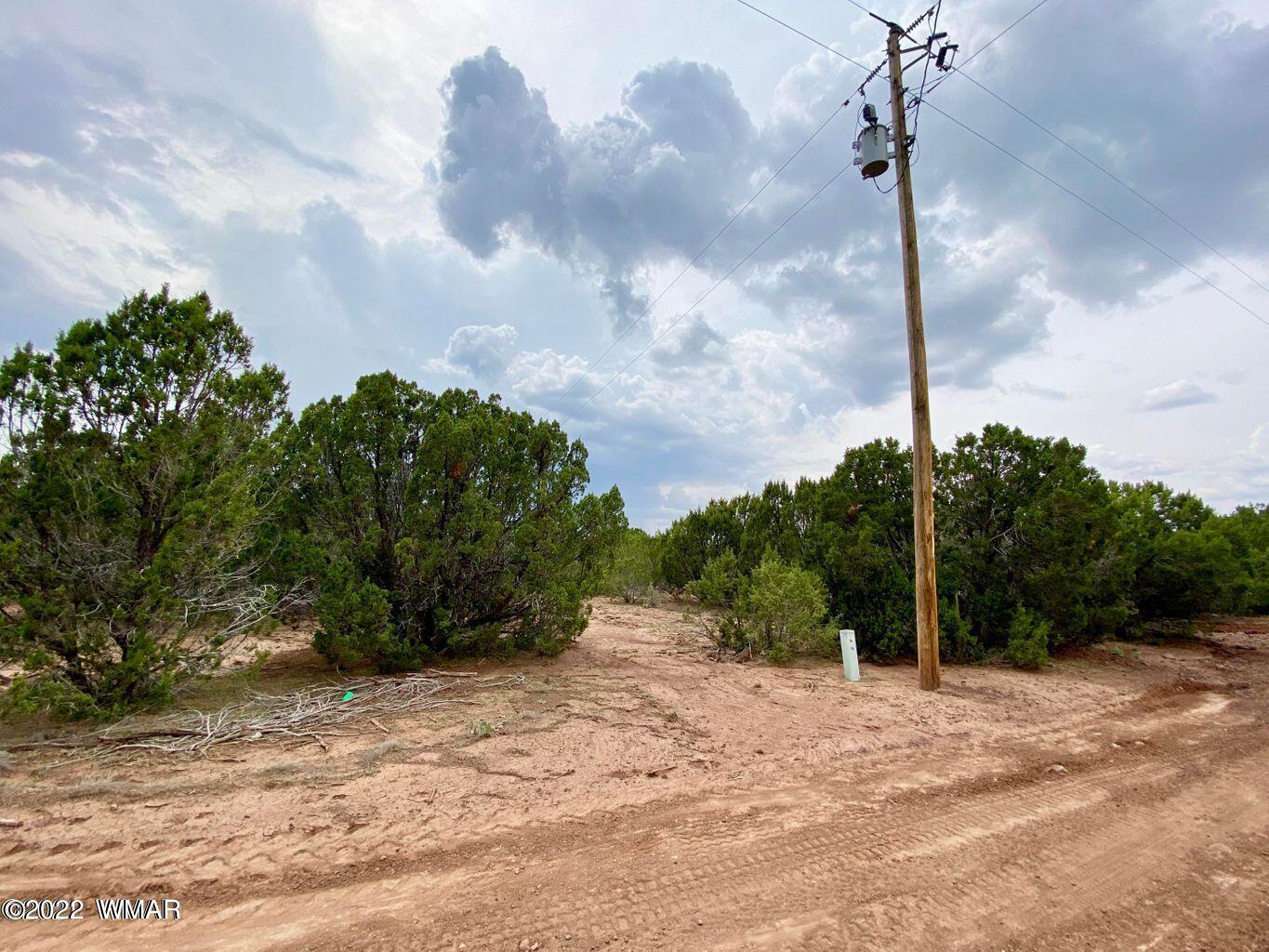 41 Co Road Vernon, AZ 85940 - Photo 2 of 11