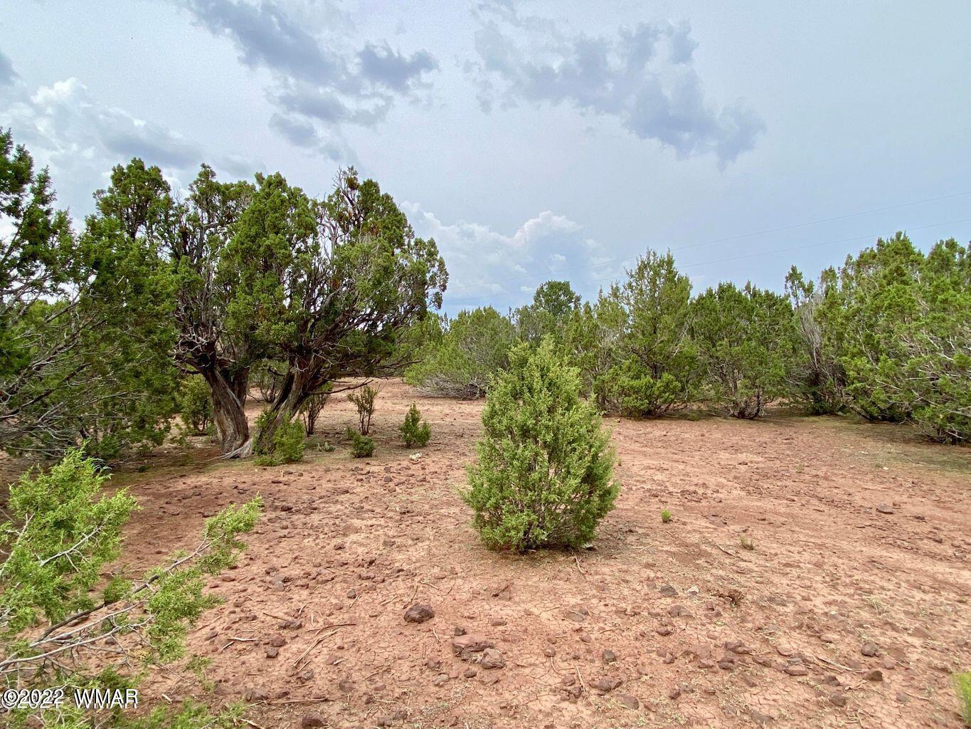 41 Co Road Vernon, AZ 85940 - Photo 3 of 11