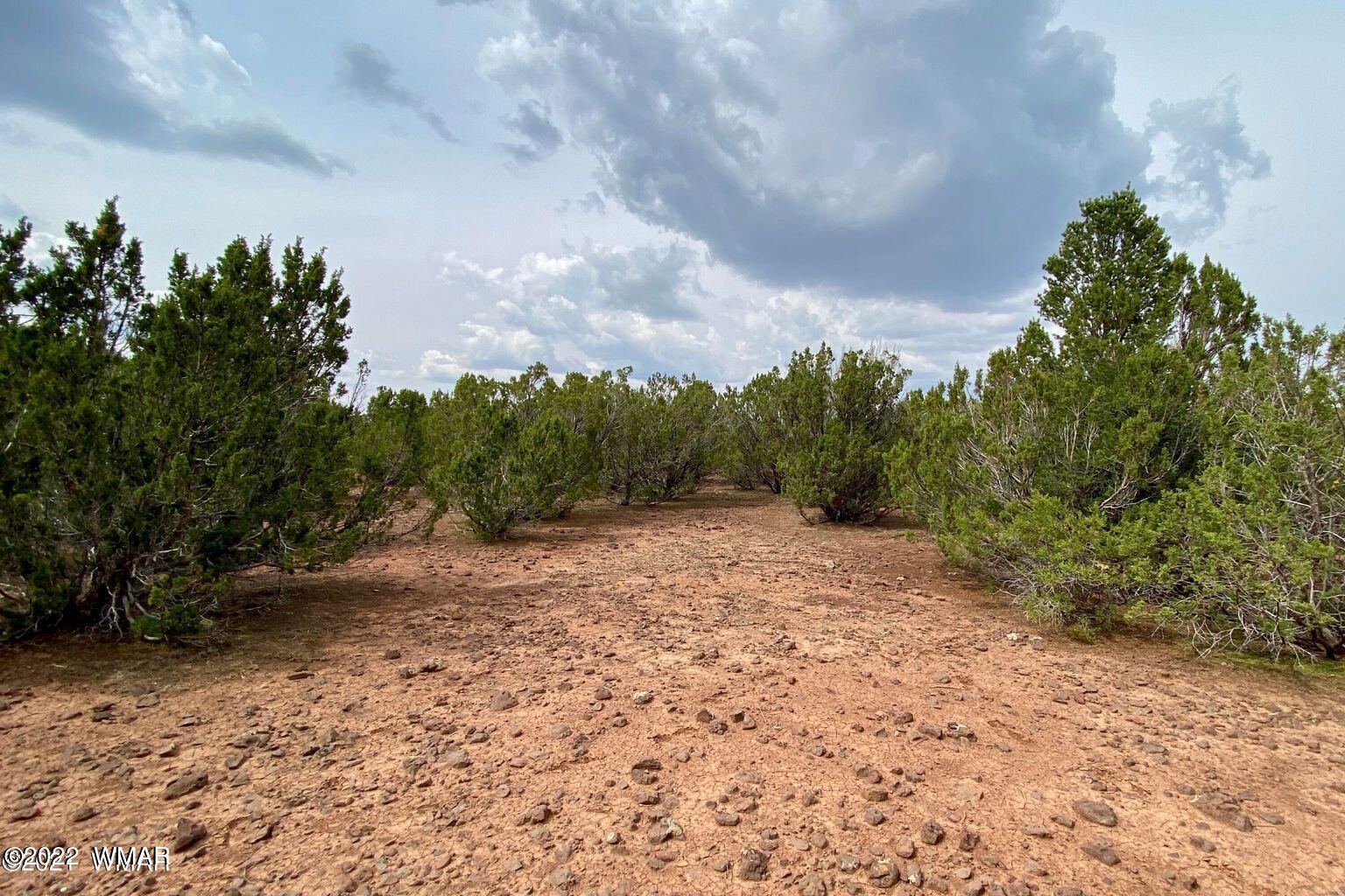 41 Co Road Vernon, AZ 85940 - Photo 4 of 11