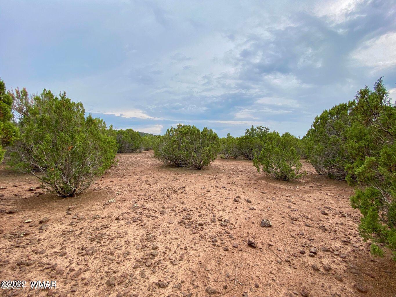 41 Co Road Vernon, AZ 85940 - Photo 5 of 11