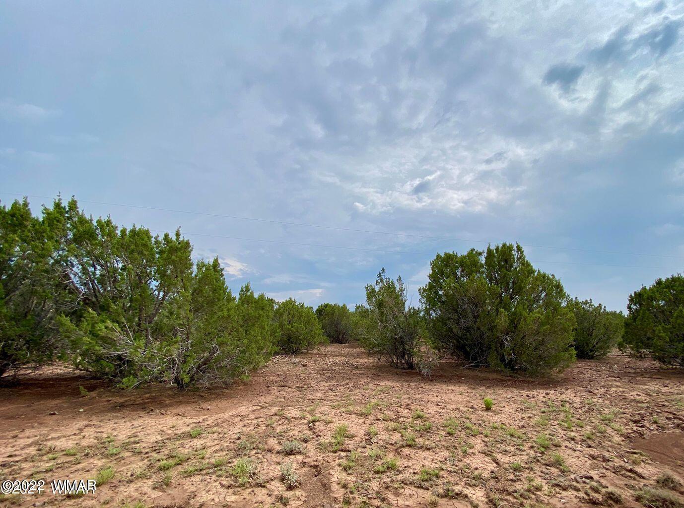 41 Co Road Vernon, AZ 85940 - Photo 6 of 11