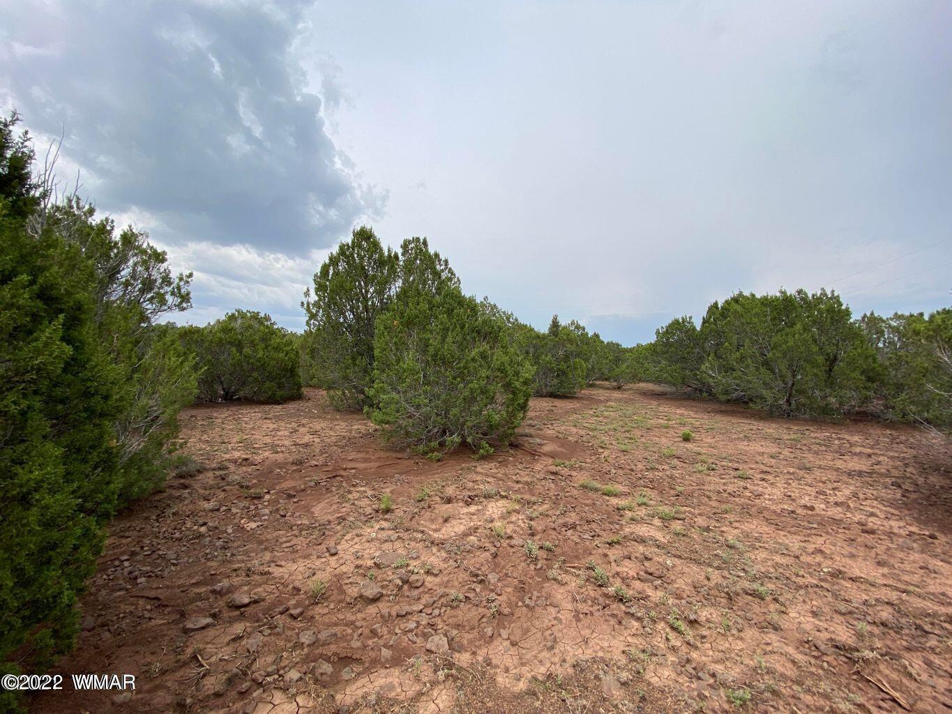41 Co Road Vernon, AZ 85940 - Photo 7 of 11
