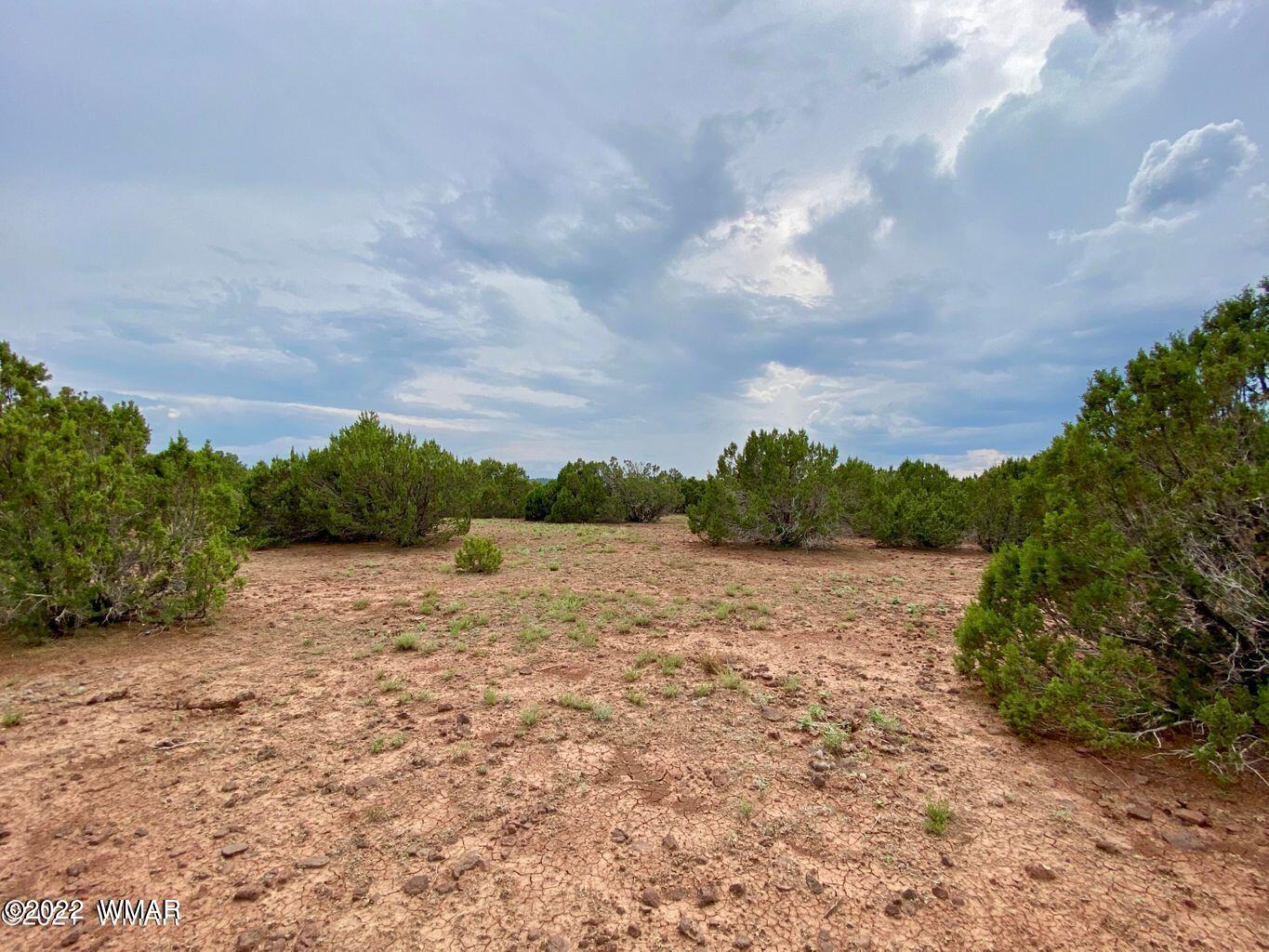 41 Co Road Vernon, AZ 85940 - Photo 8 of 11