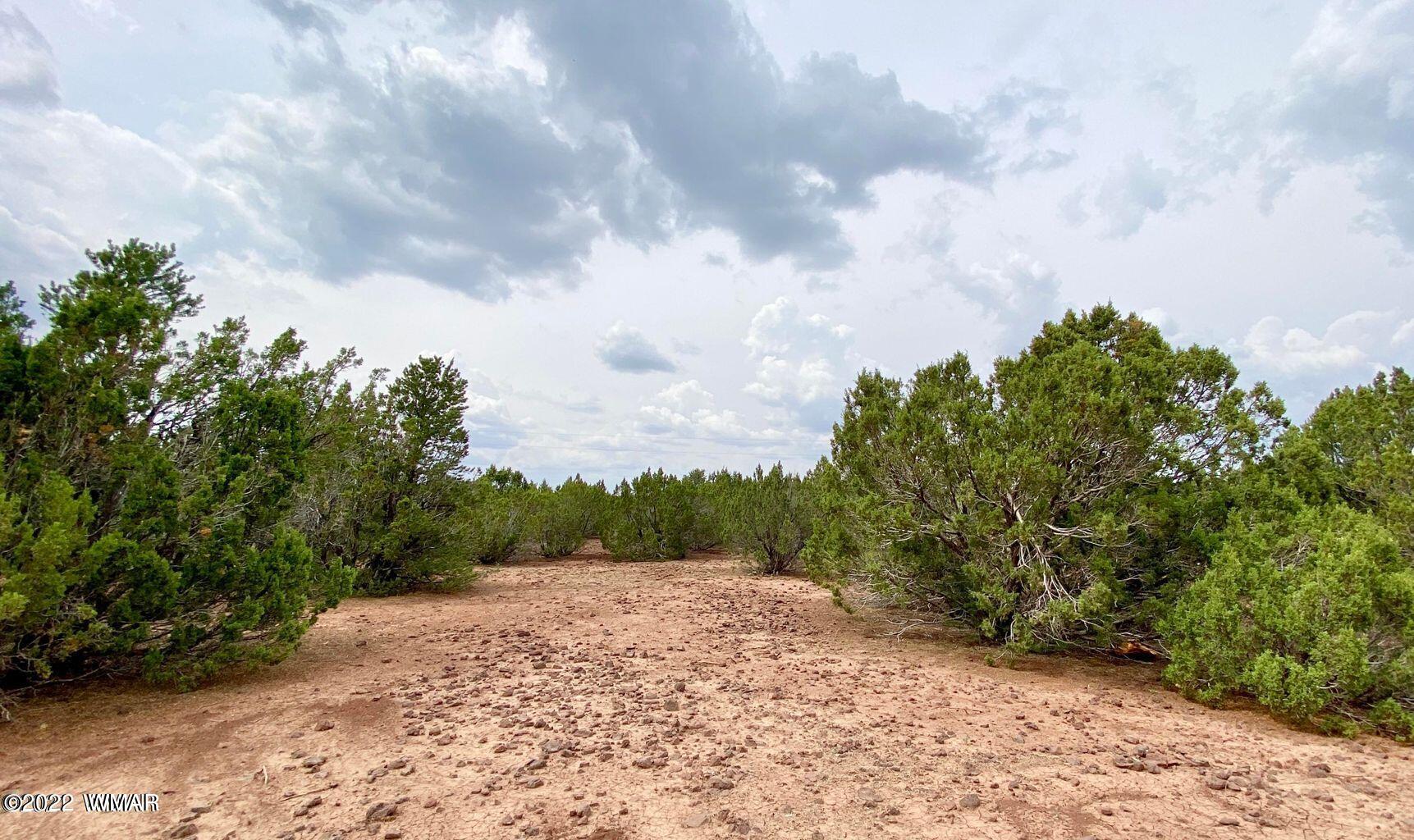 41 Co Road Vernon, AZ 85940 - Photo 9 of 11