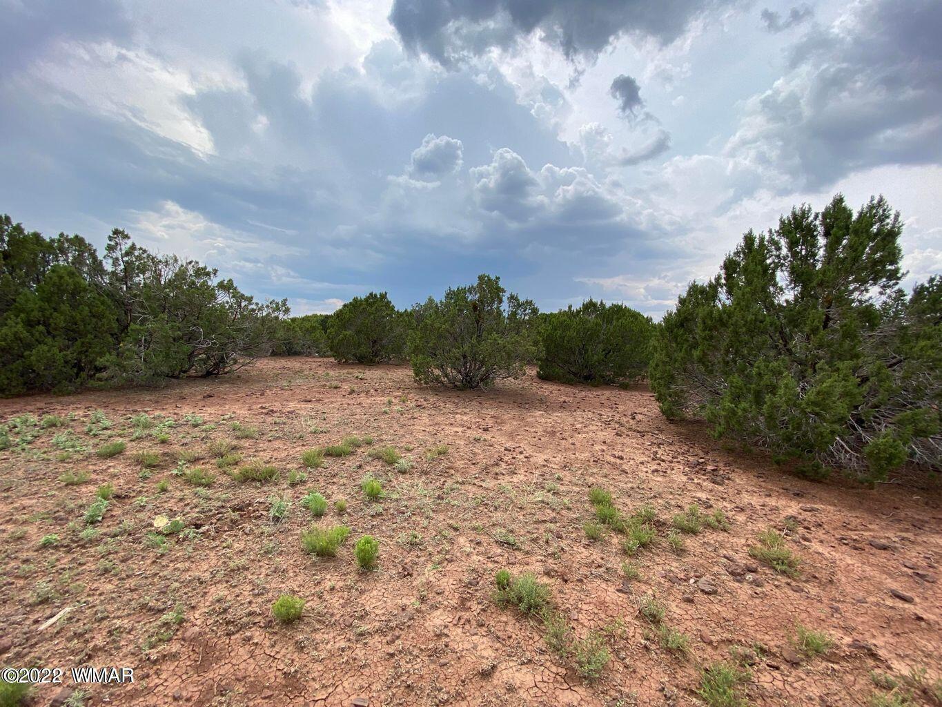 41 Co Road Vernon, AZ 85940 - Photo 10 of 11