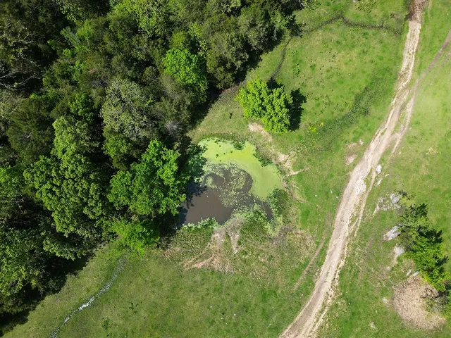 $1,250,000 | 0 Red Barn Road, Grovespring, MO 65662