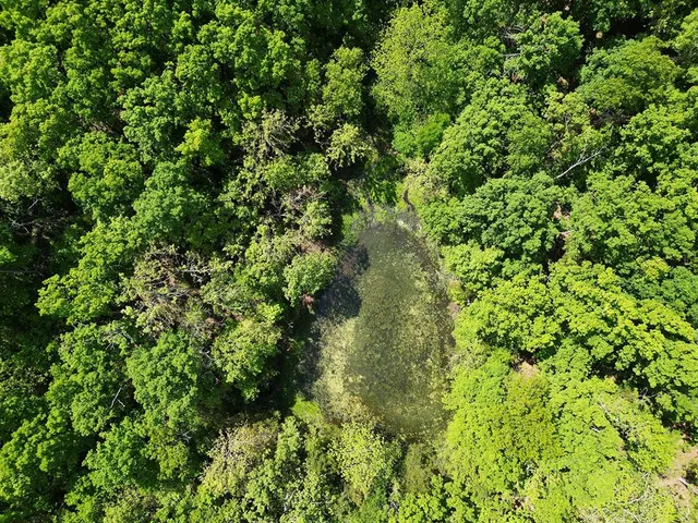 $1,250,000 | 0 Red Barn Road, Grovespring, MO 65662