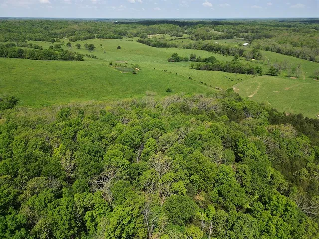 $1,250,000 | 0 Red Barn Road, Grovespring, MO 65662