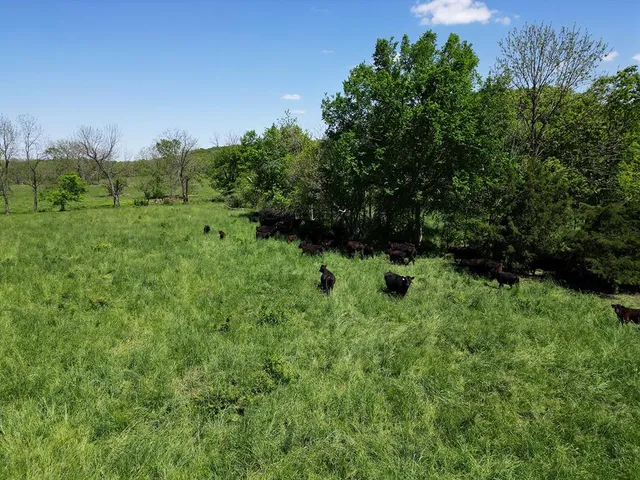 $1,250,000 | 0 Red Barn Road, Grovespring, MO 65662