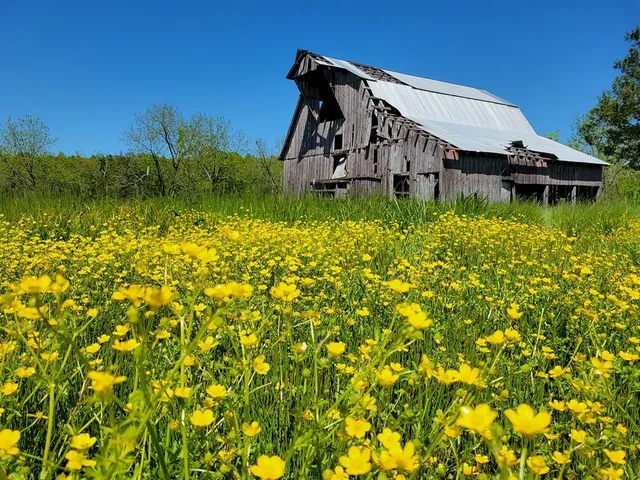 $1,250,000 | 0 Red Barn Road, Grovespring, MO 65662