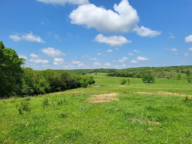 $1,250,000 | 0 Red Barn Road, Grovespring, MO 65662