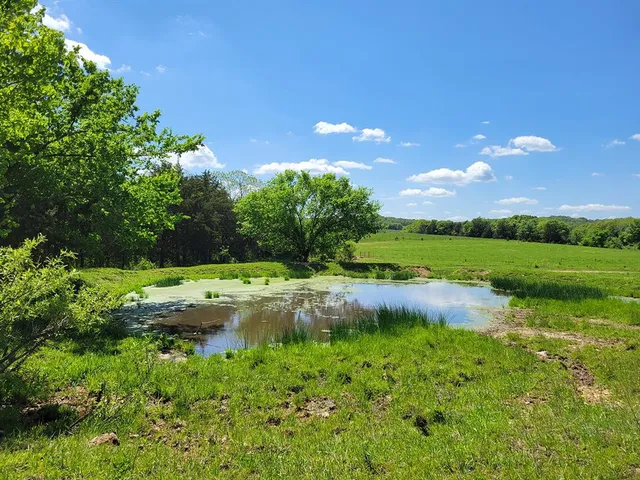 $1,250,000 | 0 Red Barn Road, Grovespring, MO 65662