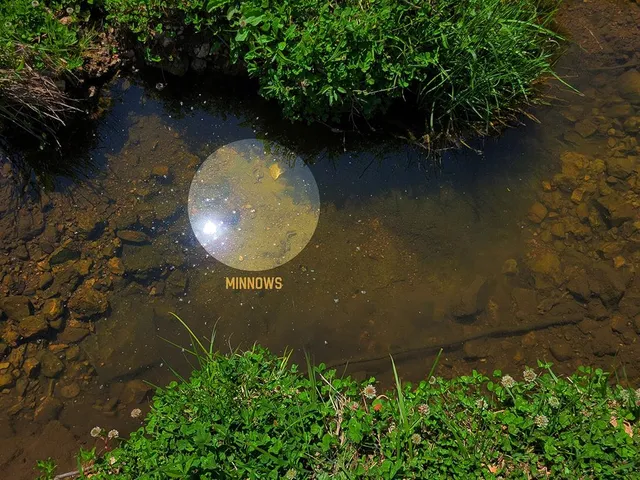 $1,250,000 | 0 Red Barn Road, Grovespring, MO 65662