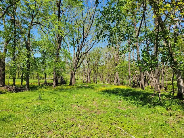 $1,250,000 | 0 Red Barn Road, Grovespring, MO 65662