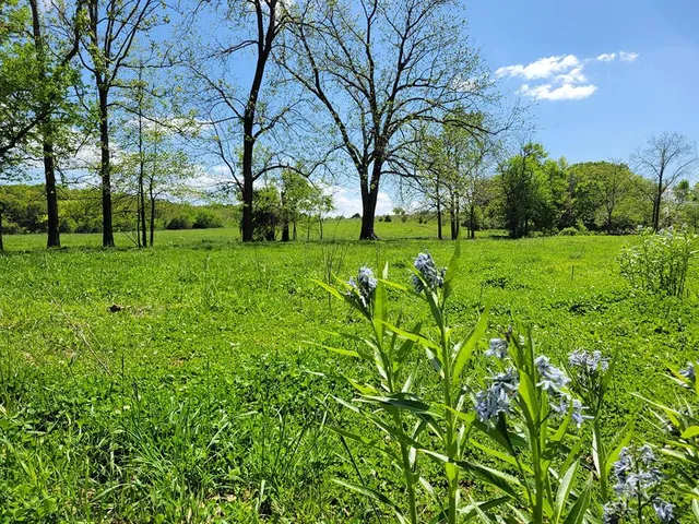 $1,250,000 | 0 Red Barn Road, Grovespring, MO 65662