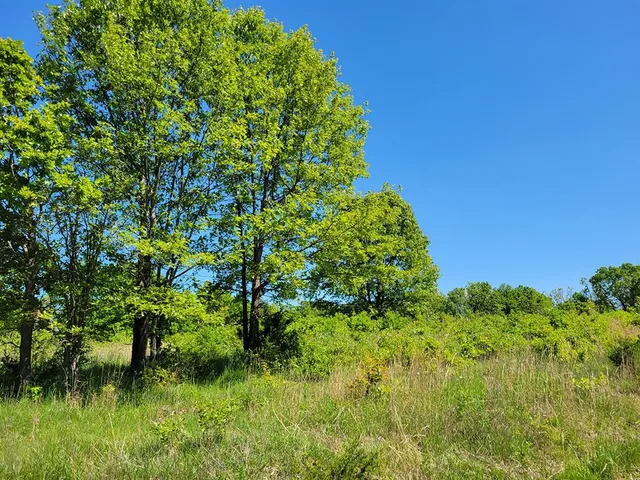 $1,250,000 | 0 Red Barn Road, Grovespring, MO 65662