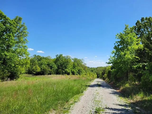 $1,250,000 | 0 Red Barn Road, Grovespring, MO 65662