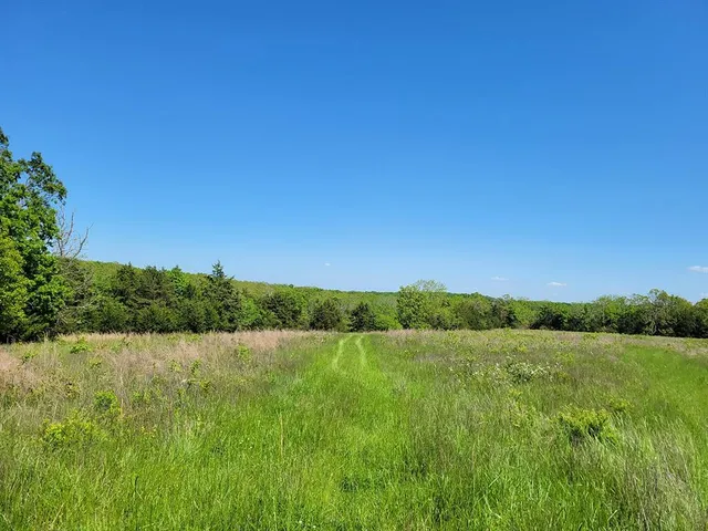 $1,250,000 | 0 Red Barn Road, Grovespring, MO 65662