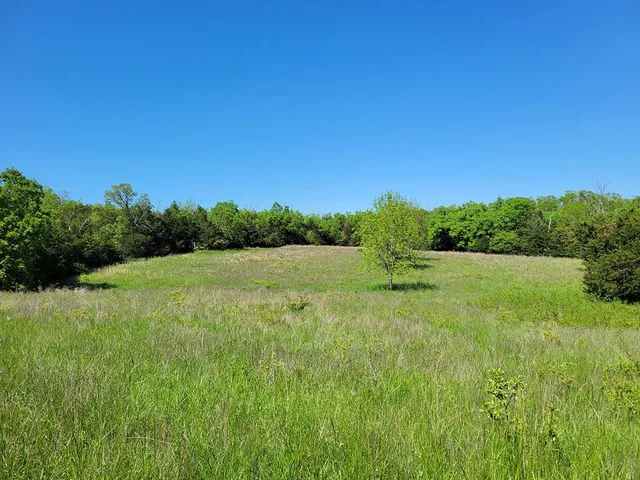 $1,250,000 | 0 Red Barn Road, Grovespring, MO 65662