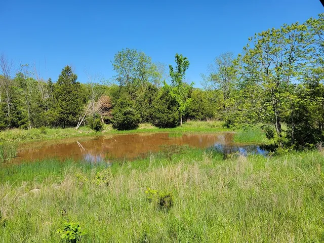 $1,250,000 | 0 Red Barn Road, Grovespring, MO 65662