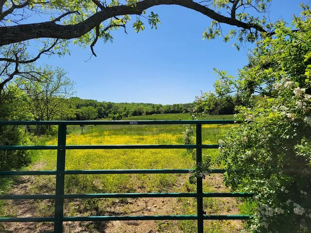 $1,250,000 | 0 Red Barn Road, Grovespring, MO 65662