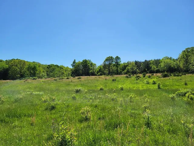 $1,250,000 | 0 Red Barn Road, Grovespring, MO 65662