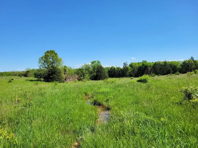 $1,250,000 | 0 Red Barn Road, Grovespring, MO 65662