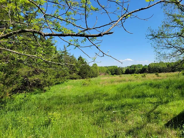 $1,250,000 | 0 Red Barn Road, Grovespring, MO 65662