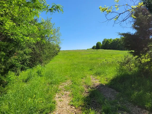 $1,250,000 | 0 Red Barn Road, Grovespring, MO 65662