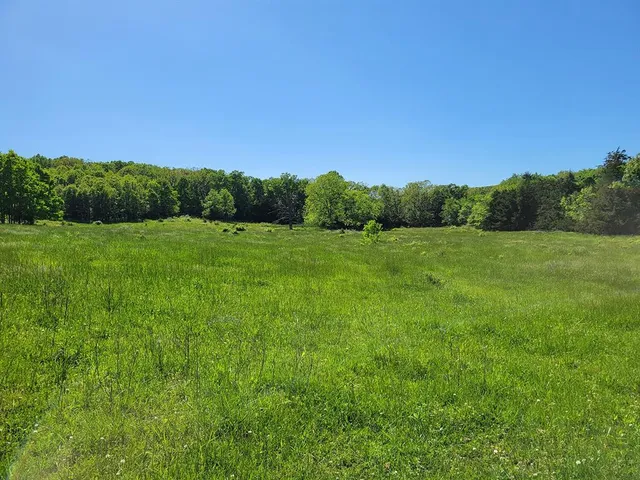 $1,250,000 | 0 Red Barn Road, Grovespring, MO 65662