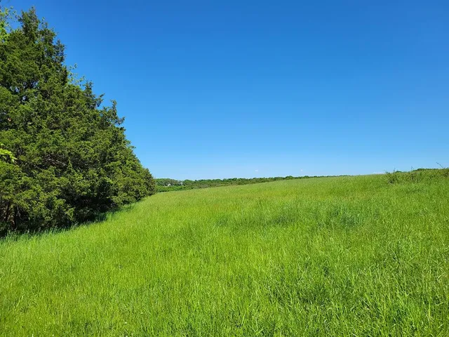 $1,250,000 | 0 Red Barn Road, Grovespring, MO 65662