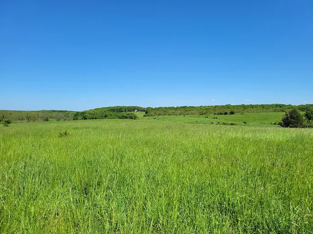 $1,250,000 | 0 Red Barn Road, Grovespring, MO 65662