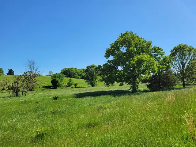 $1,250,000 | 0 Red Barn Road, Grovespring, MO 65662