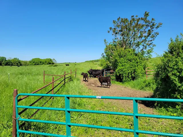 $1,250,000 | 0 Red Barn Road, Grovespring, MO 65662