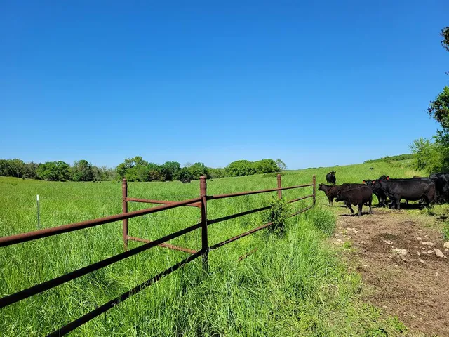 $1,250,000 | 0 Red Barn Road, Grovespring, MO 65662