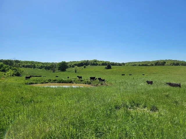 $1,250,000 | 0 Red Barn Road, Grovespring, MO 65662